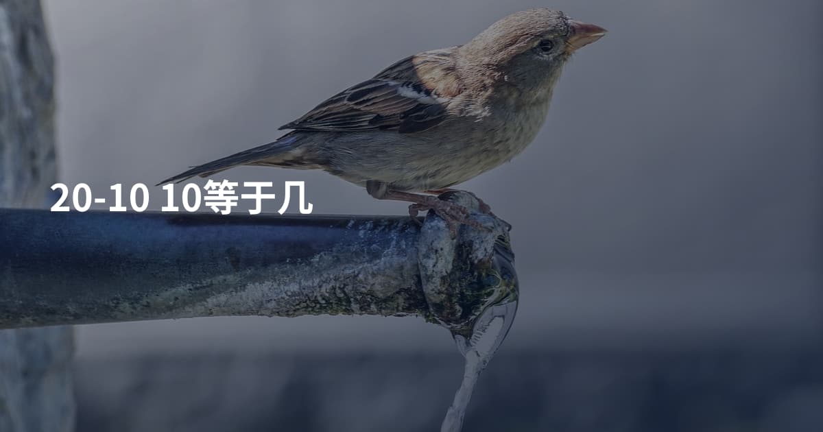 20-10 10等于几