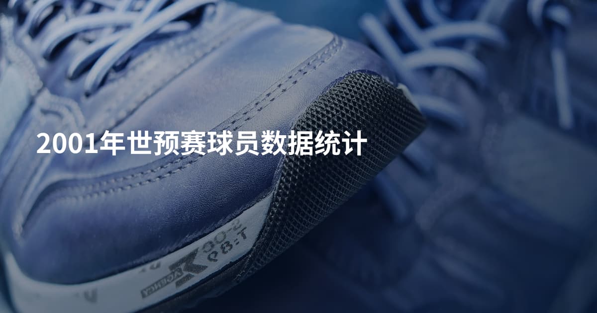 2001年世预赛球员数据统计