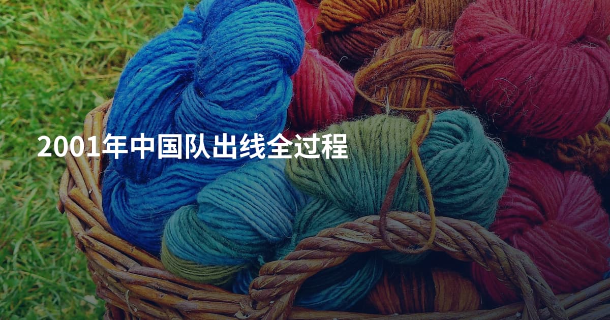 2001年中国队出线全过程