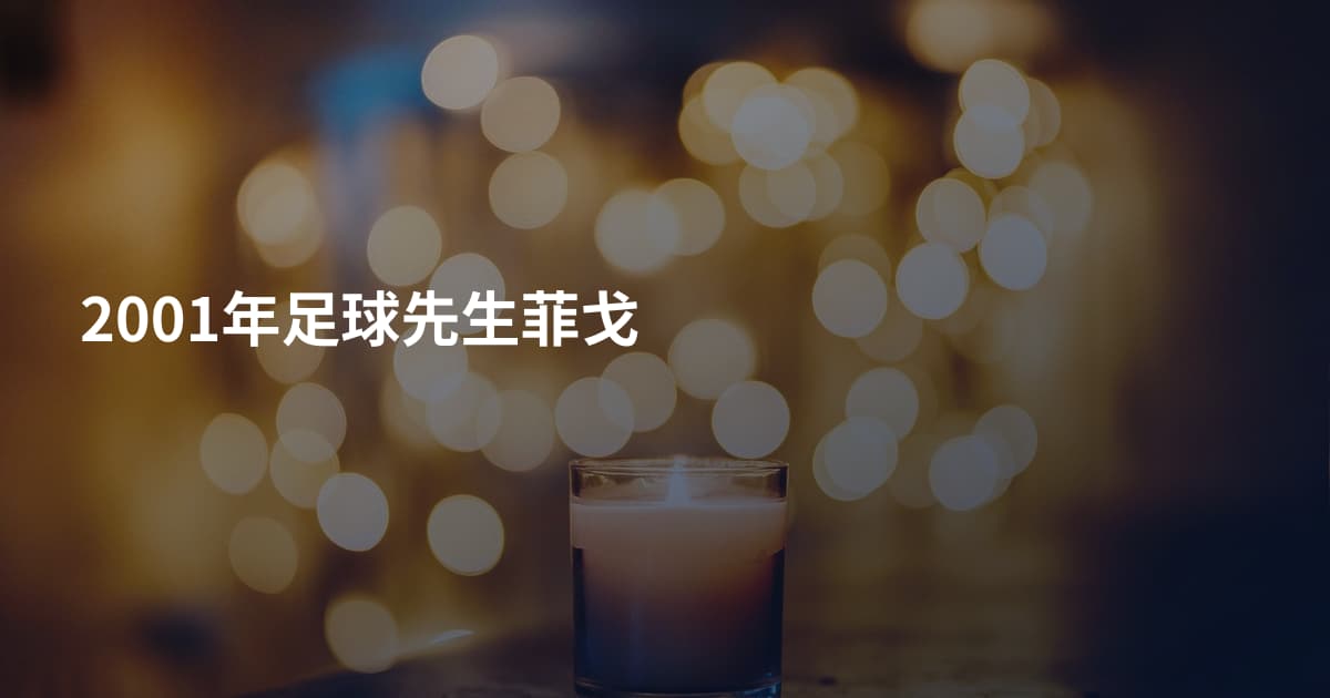 2001年足球先生菲戈