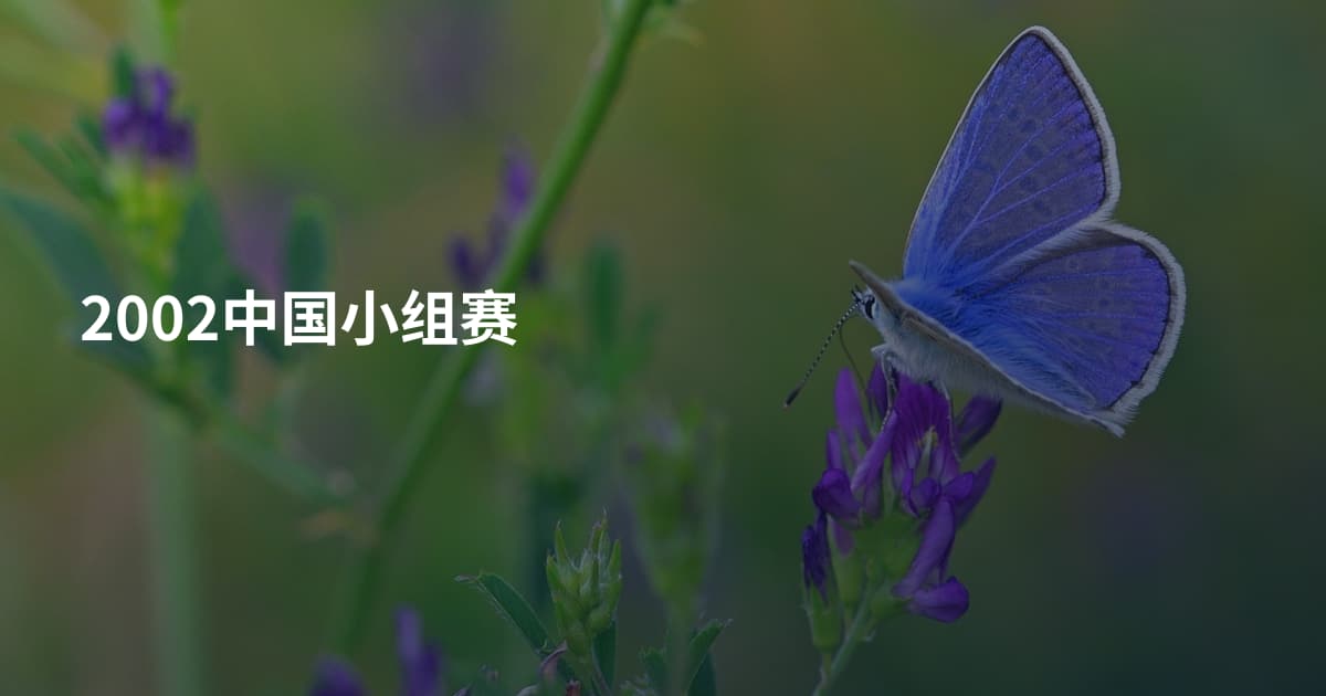 2002中国小组赛