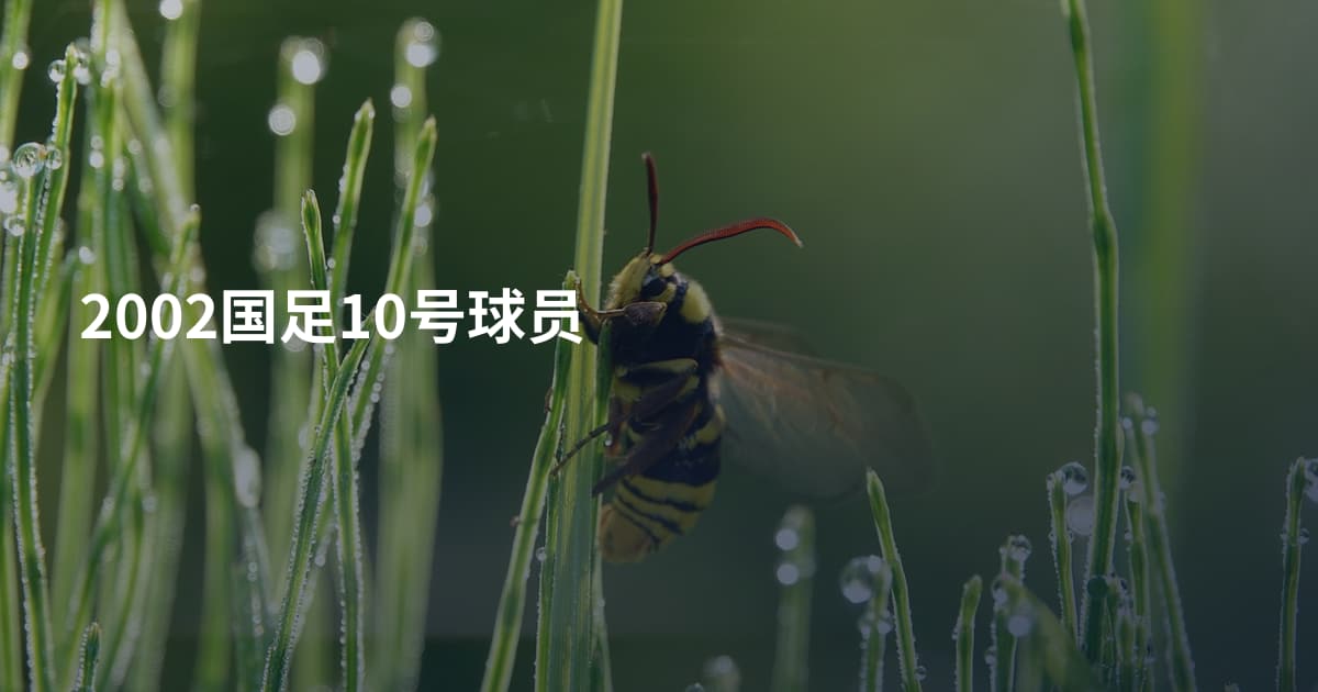 2002国足10号球员