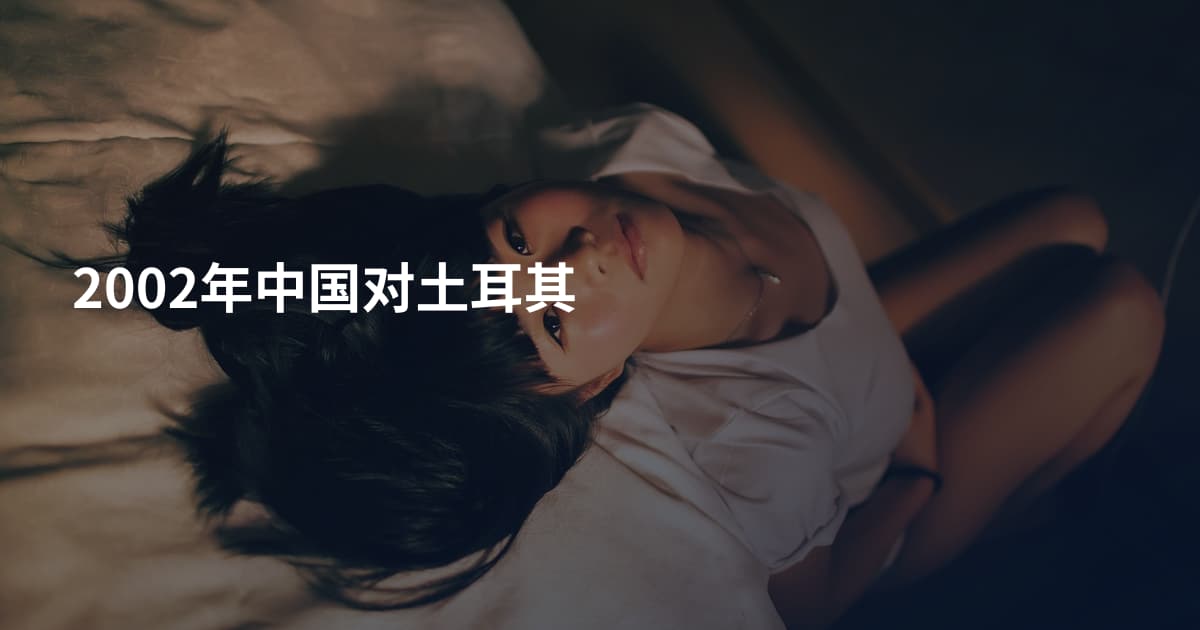 2002年中国对土耳其