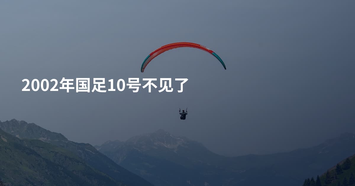 2002年国足10号不见了