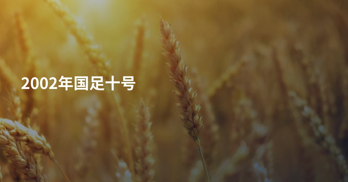 2002年国足十号