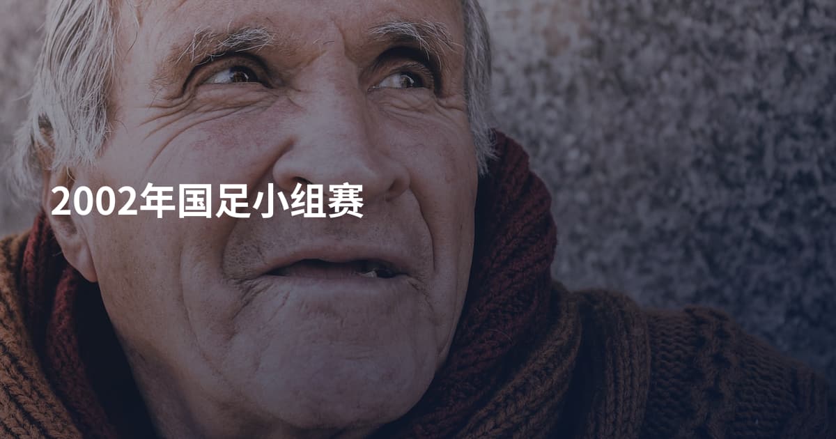 2002年国足小组赛