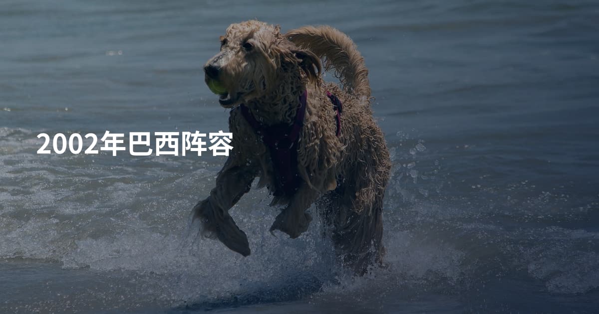 2002年巴西阵容