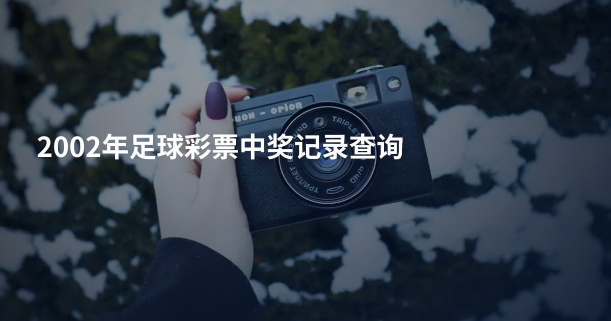 2002年足球彩票中奖记录查询
