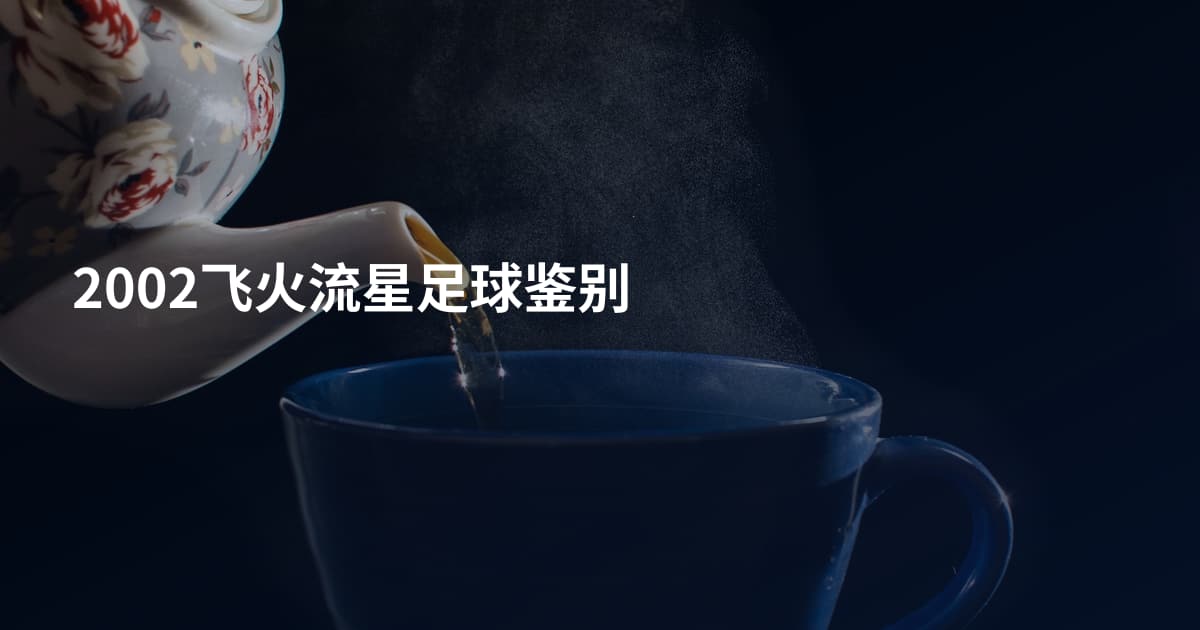 2002飞火流星足球鉴别