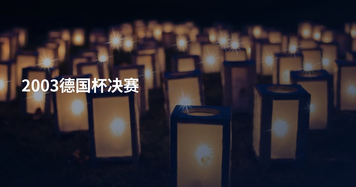 2003德国杯决赛