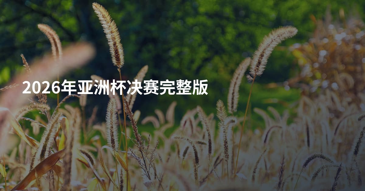 2026年亚洲杯决赛完整版