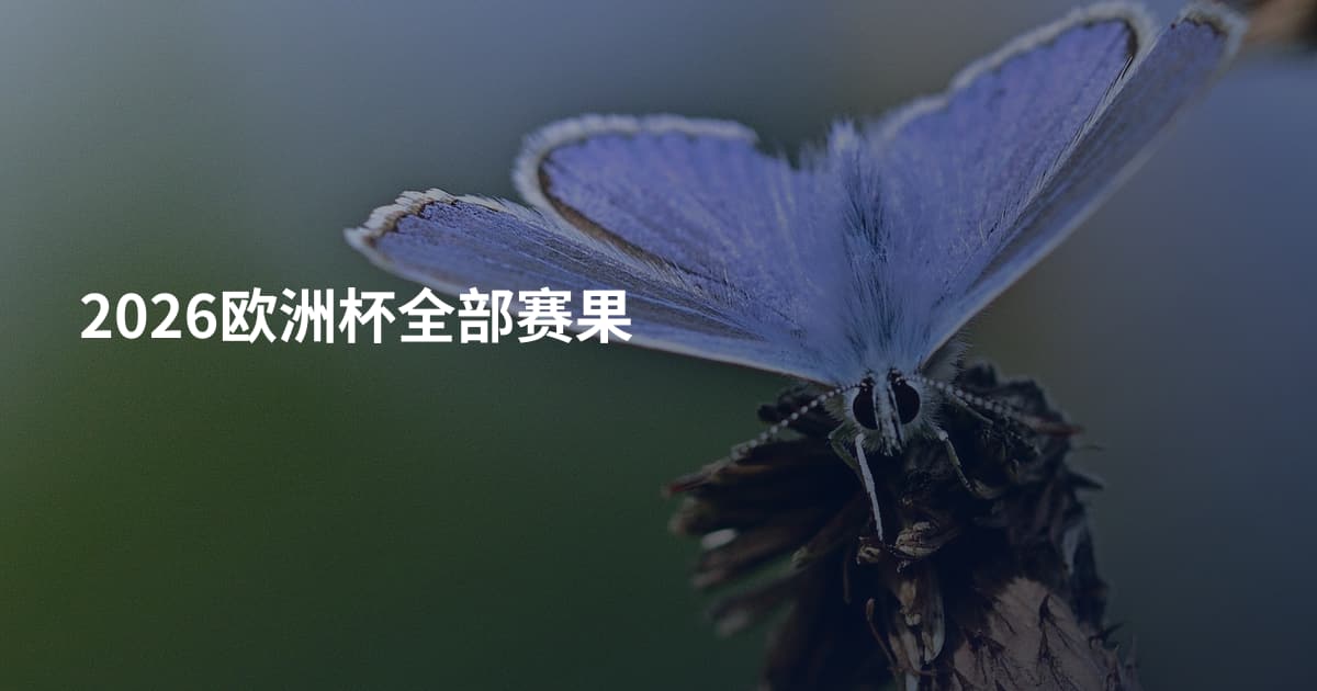 2026欧洲杯全部赛果