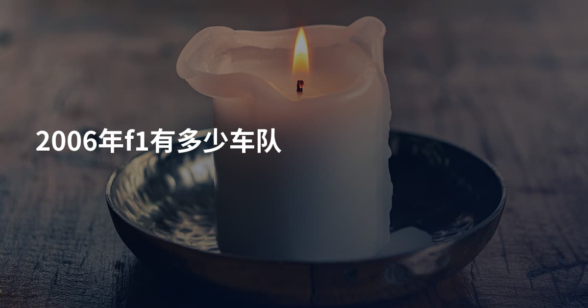 2006年f1有多少车队