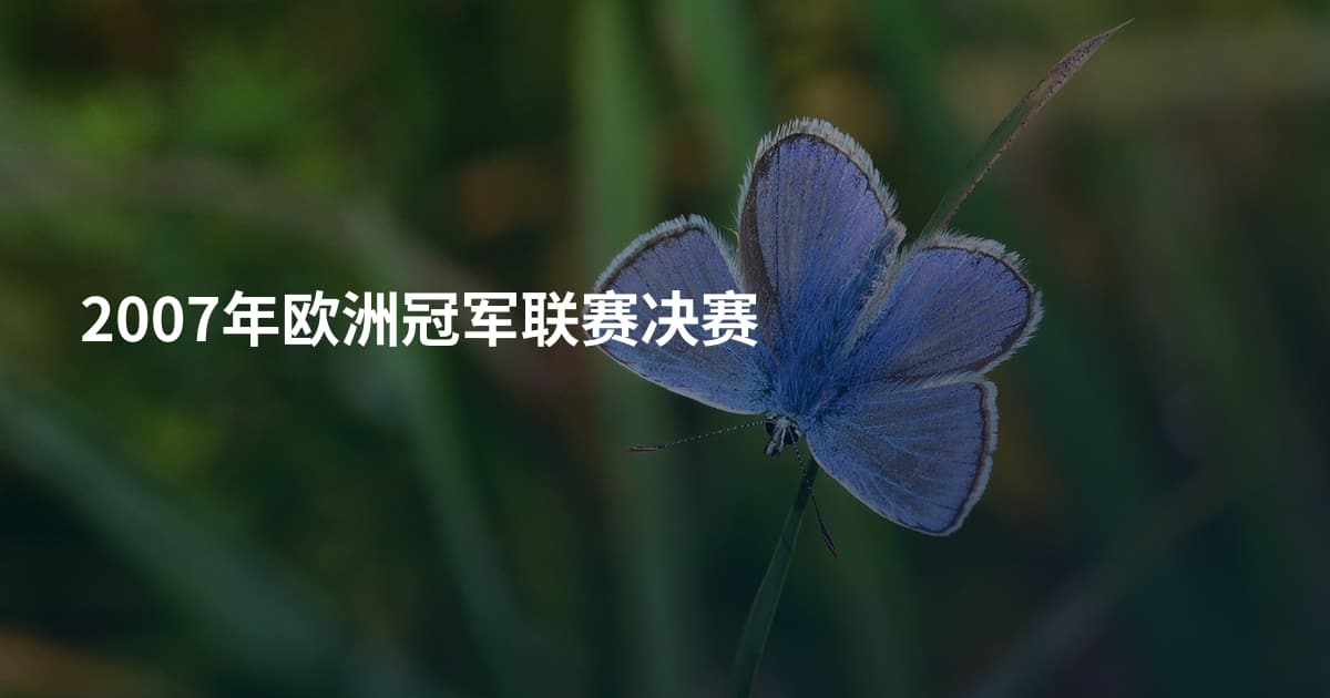 2007年欧洲冠军联赛决赛