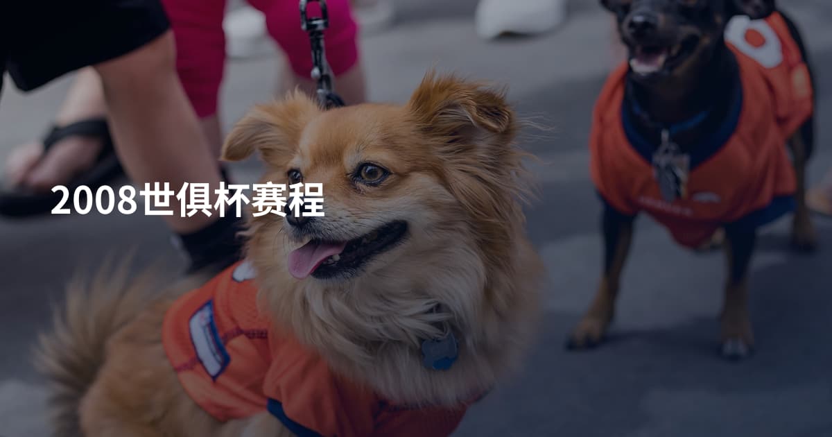 2008世俱杯赛程