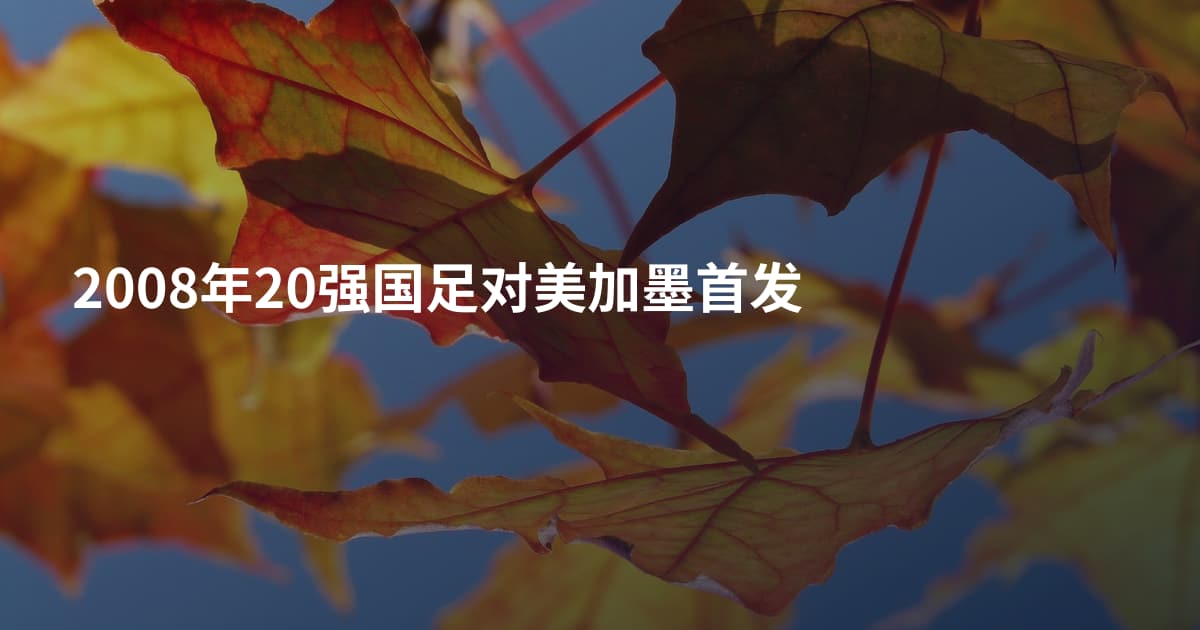 2008年20强国足对美加墨首发