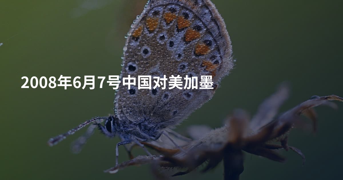 2008年6月7号中国对美加墨
