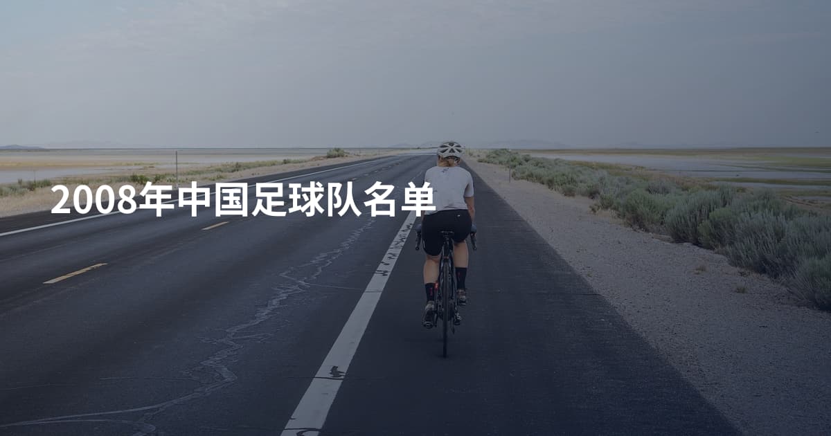 2008年中国足球队名单
