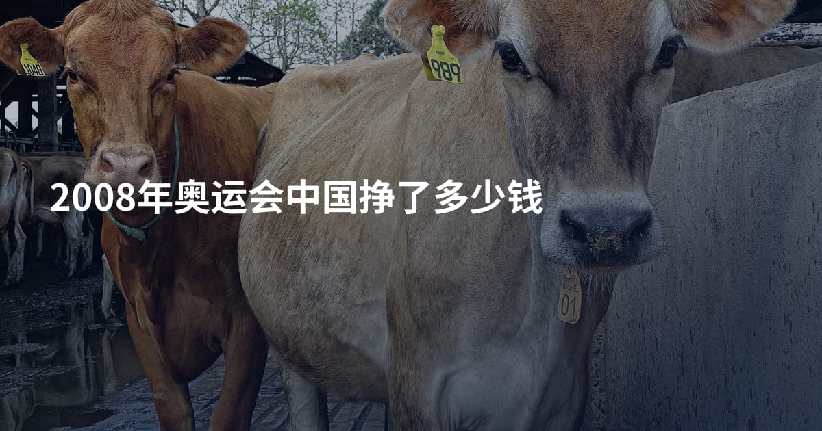 2008年奥运会中国挣了多少钱