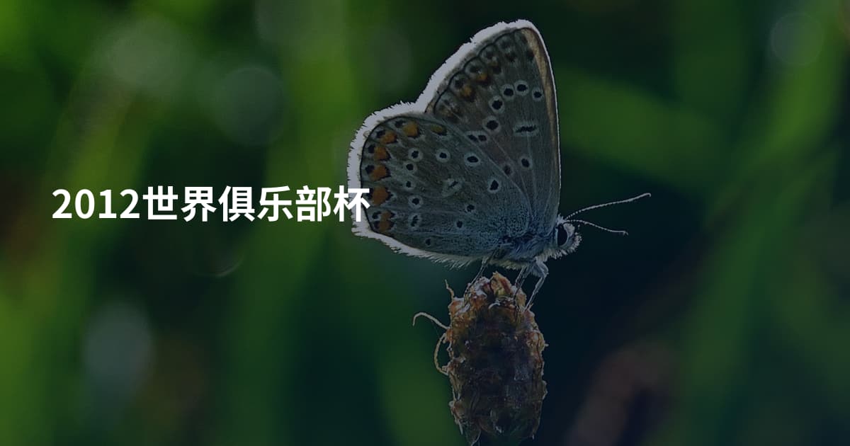 2012世界俱乐部杯