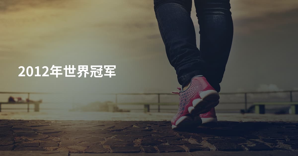 2012年世界冠军