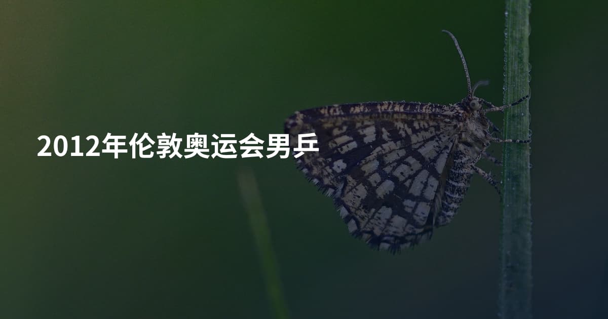 2012年伦敦奥运会男乒
