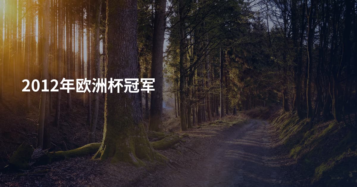 2012年欧洲杯冠军