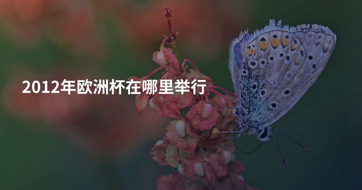 2012年欧洲杯在哪里举行