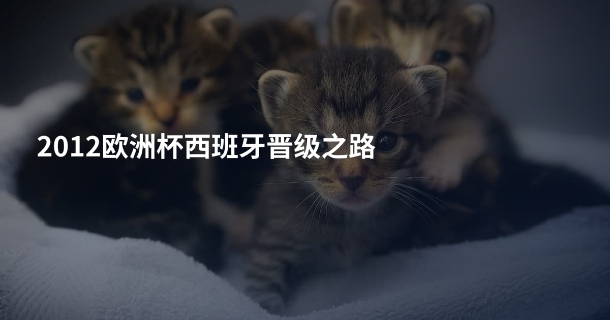 2012欧洲杯西班牙晋级之路