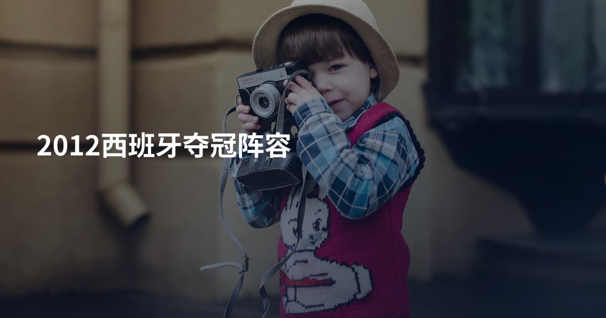 2012西班牙夺冠阵容