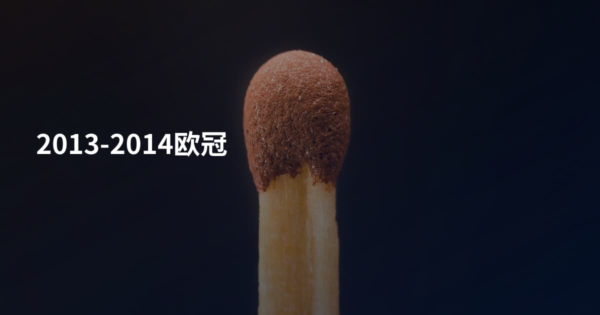 2013-2014欧冠