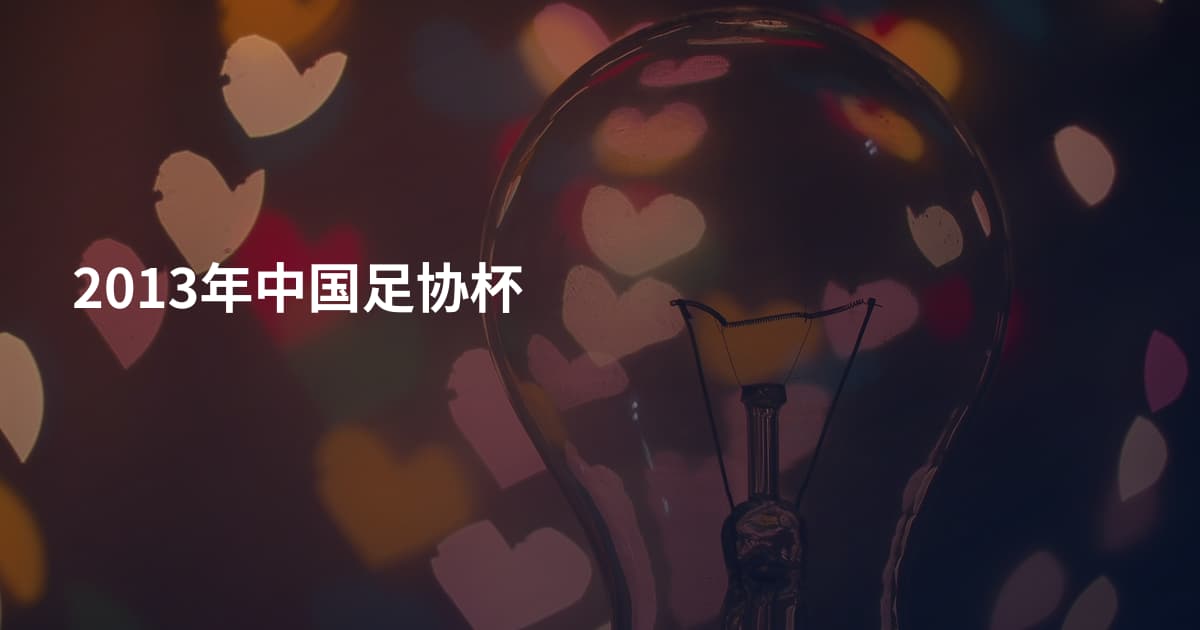 2013年中国足协杯