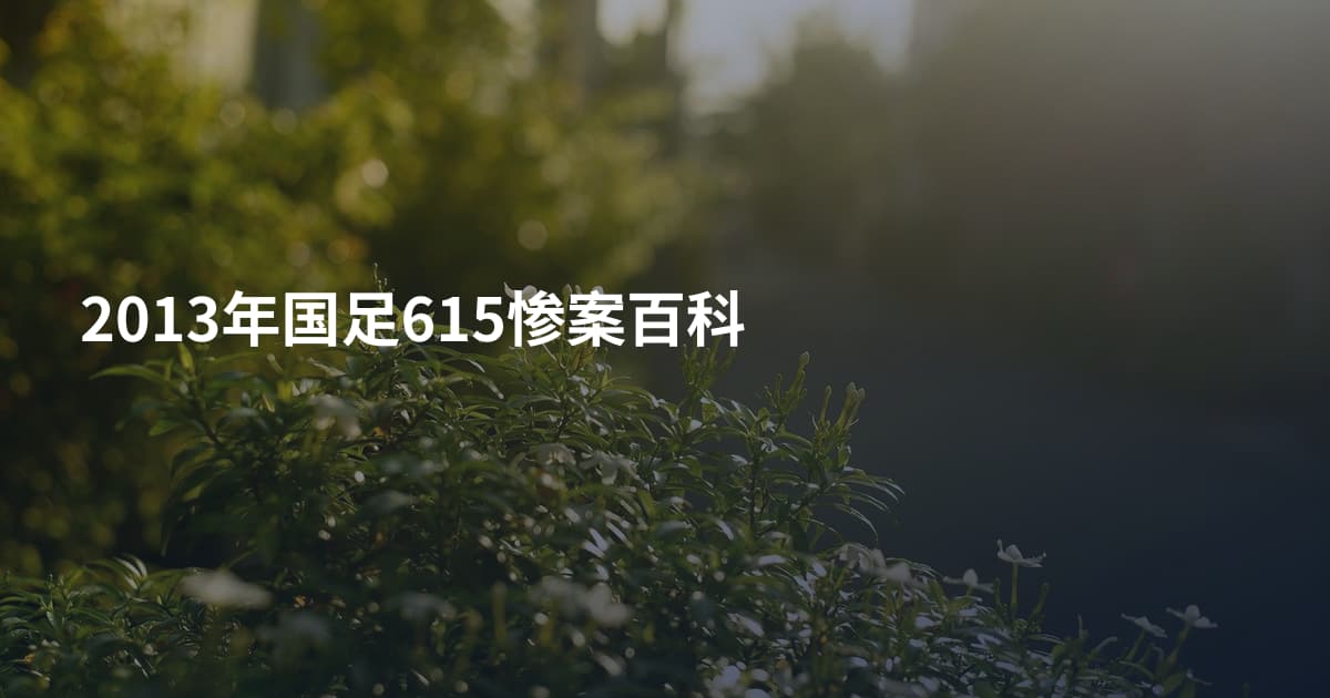 2013年国足615惨案百科