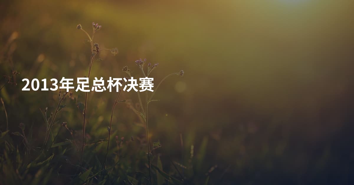 2013年足总杯决赛