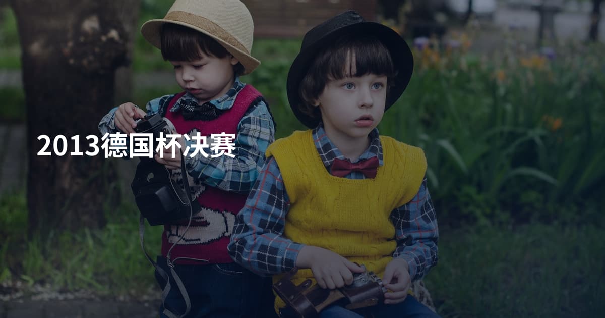 2013德国杯决赛