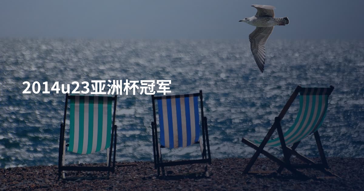 2014u23亚洲杯冠军