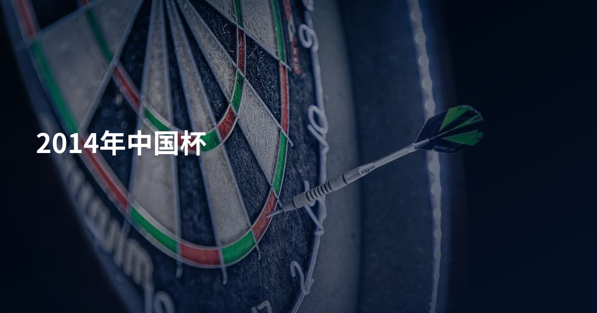 2014年中国杯