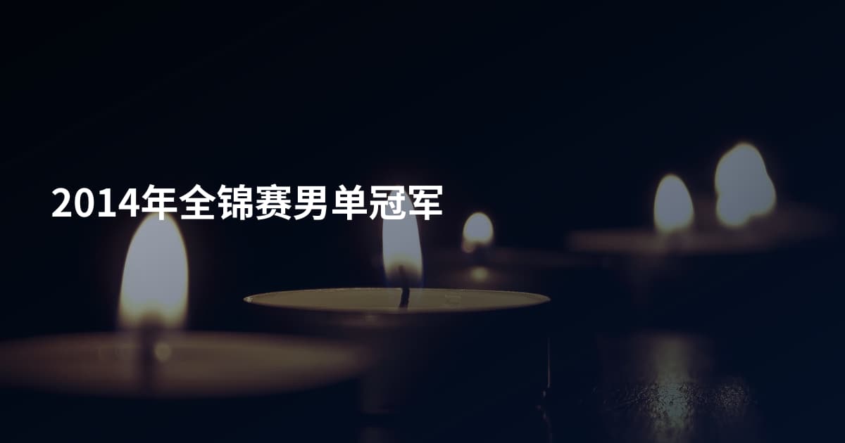 2014年全锦赛男单冠军