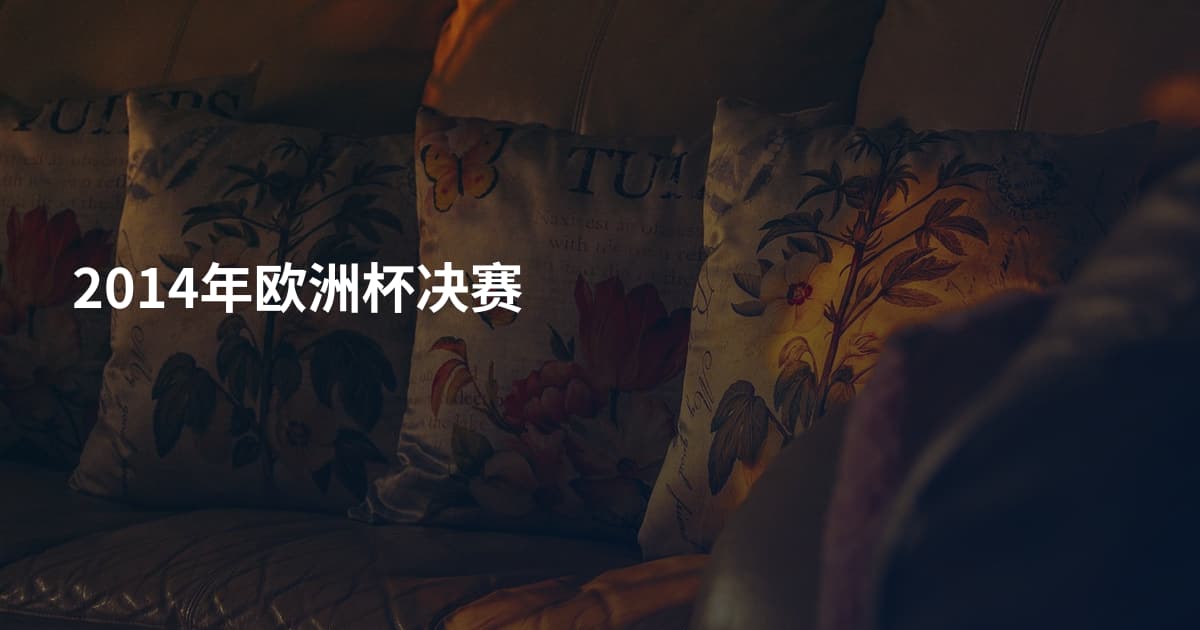 2014年欧洲杯决赛