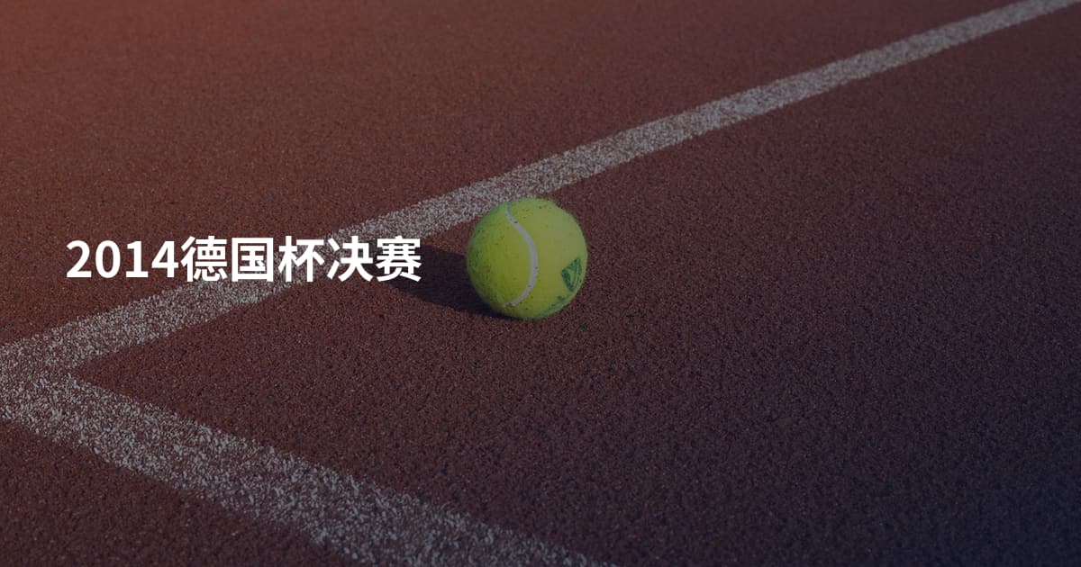 2014德国杯决赛