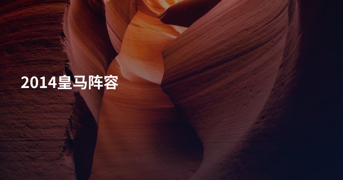 2014皇马阵容