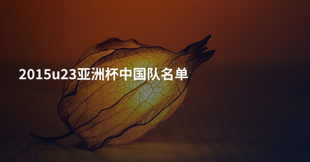 2015u23亚洲杯中国队名单