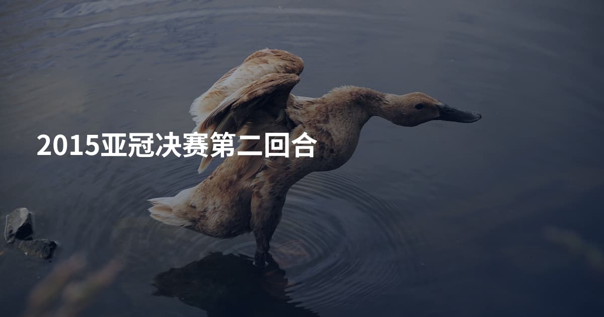 2015亚冠决赛第二回合
