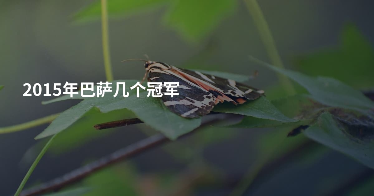 2015年巴萨几个冠军