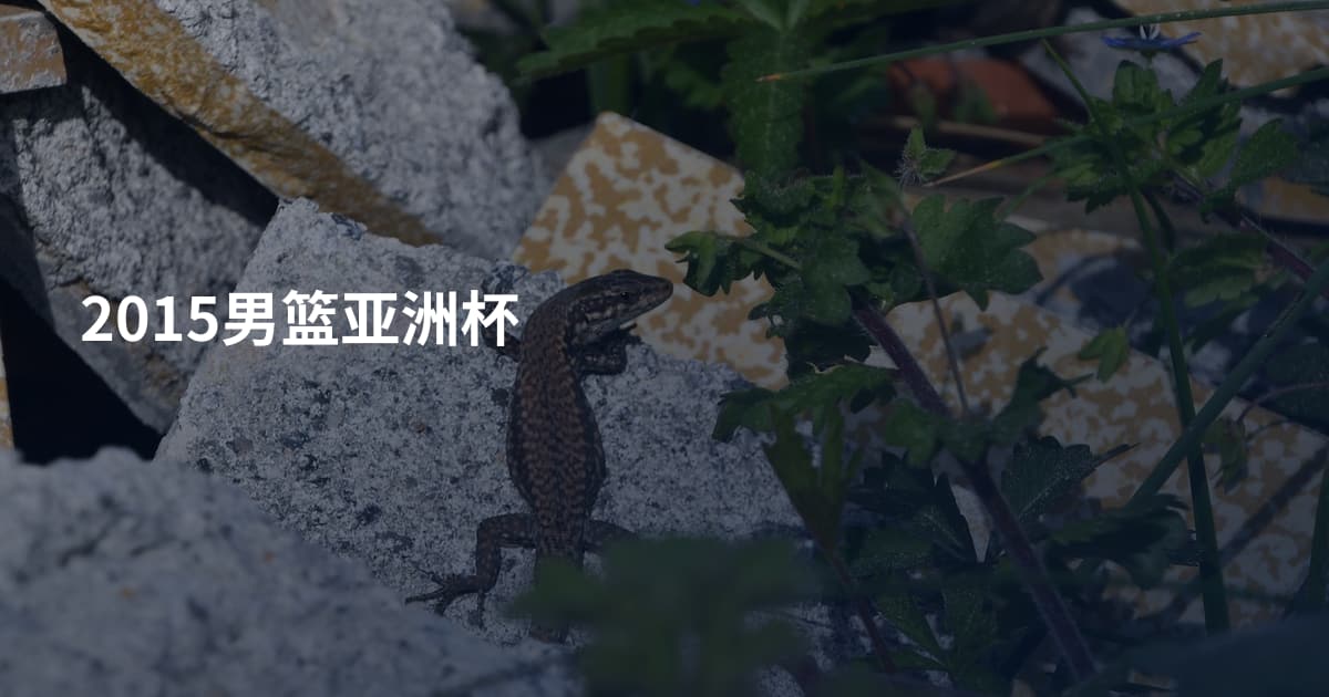 2015男篮亚洲杯