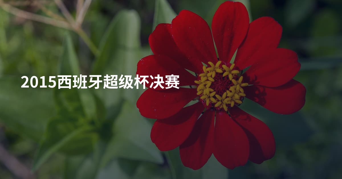 2015西班牙超级杯决赛