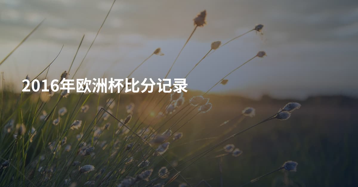 2016年欧洲杯比分记录