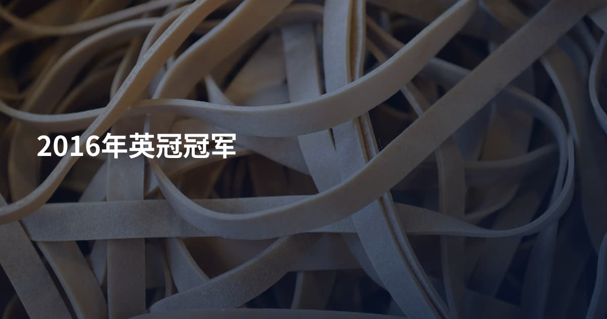 2016年英冠冠军
