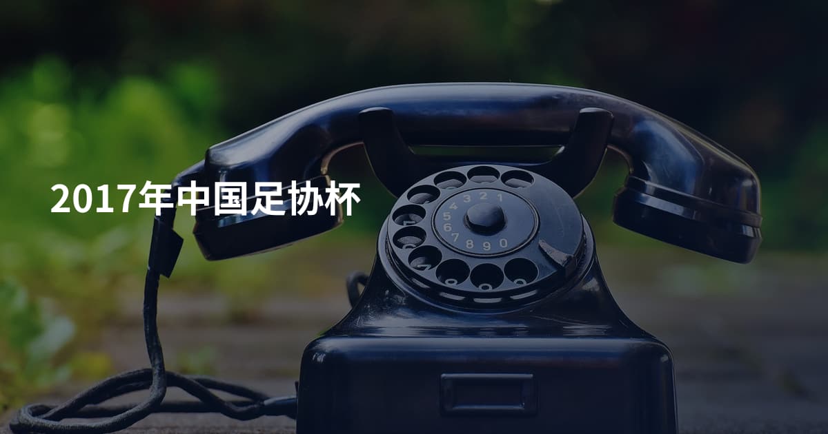 2017年中国足协杯