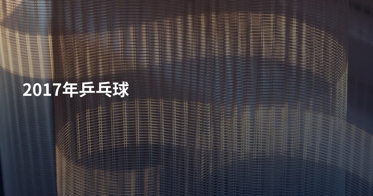 2017年乒乓球